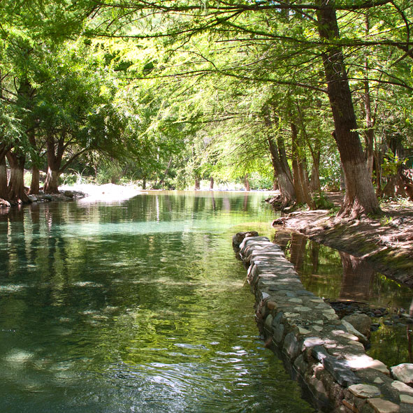 Parque Ecológico los Troncones